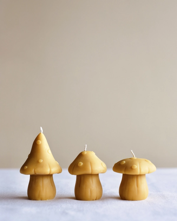 Zestaw świec grzybki